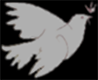 Festival Dove